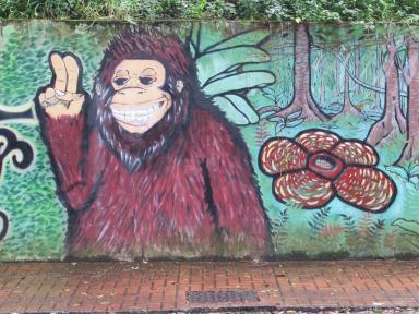 coolmonkey