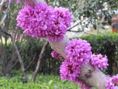 128141