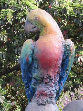 parrot