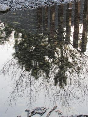 reflections