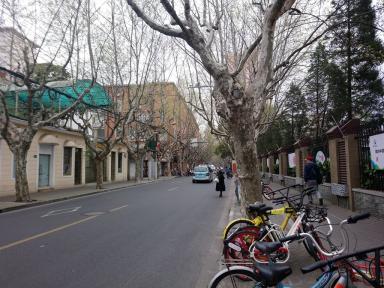 street&cycles