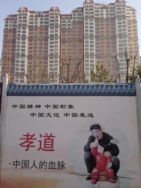 xiningdream1