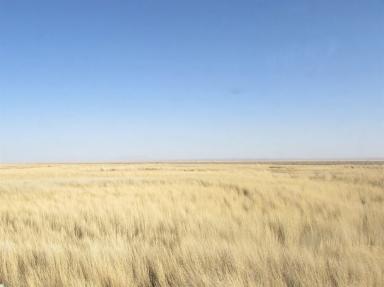 plains