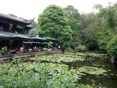 teahouse