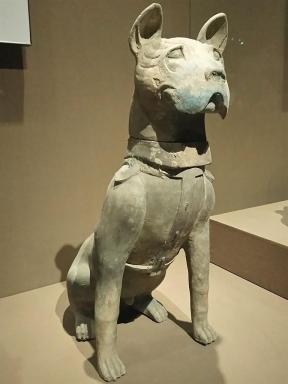 dog