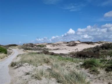 dunes1