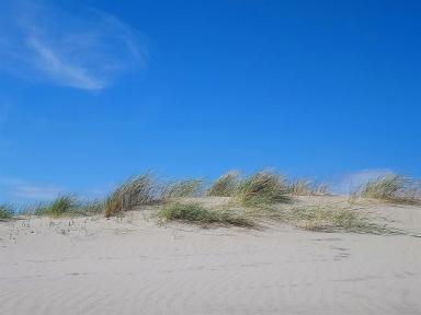 dunes2