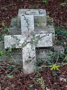 cross