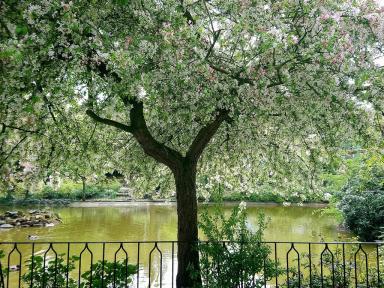 arboretum