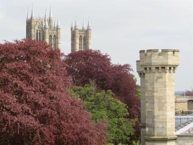 towers&trees