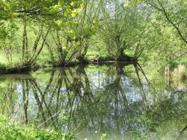 reflections