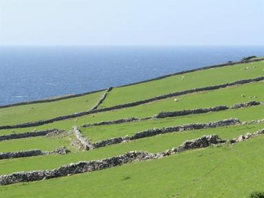 fields