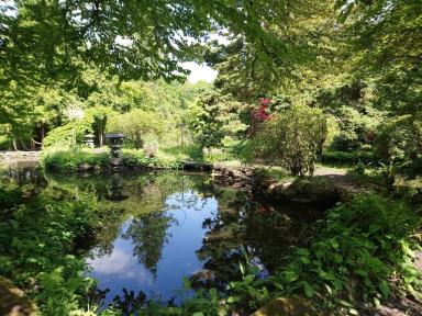 pond