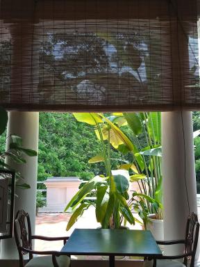 blinds
