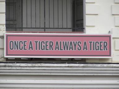 tiger2