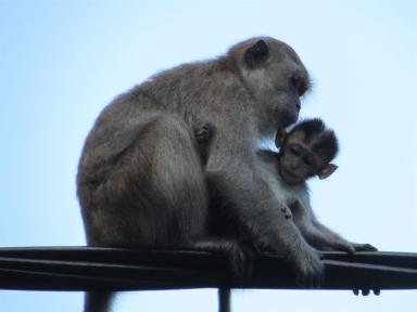 mum&baby