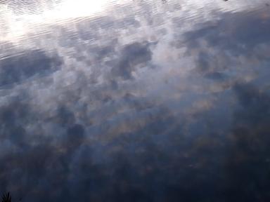 surface