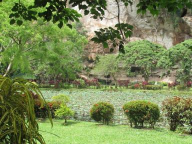 gardens