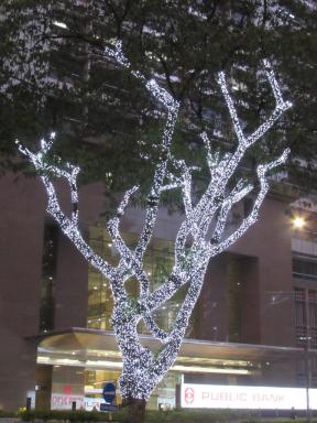 lightedtrees