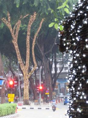 goldtree