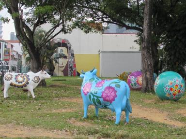 cows
