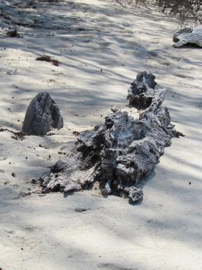 rock