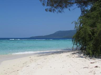 tropics