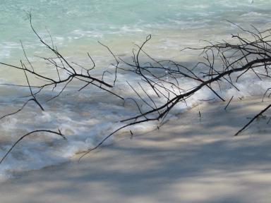 wateredge
