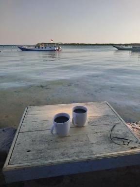 coffee