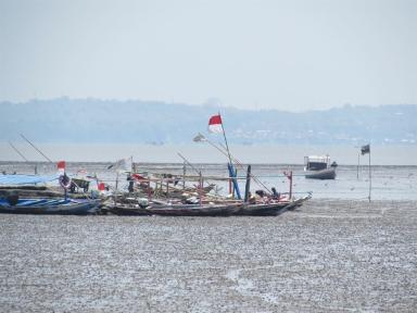 madura