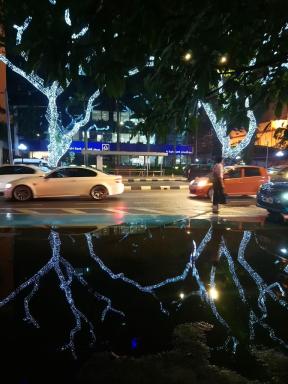 nighttrees2