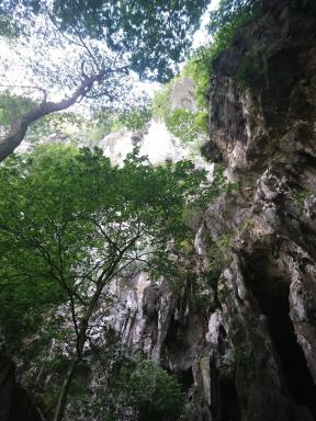 lookingup