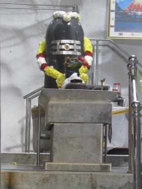 linga