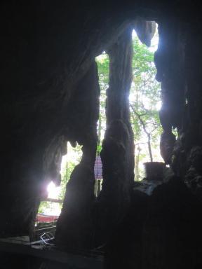 lookingout