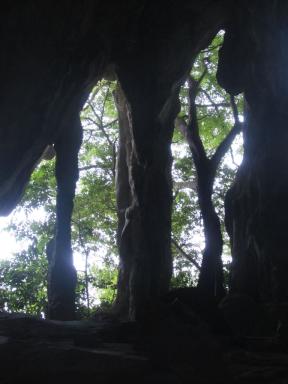 mouth&trees