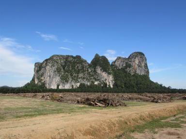 bigrock
