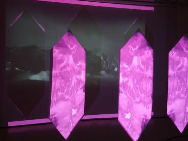 shields