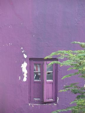 window