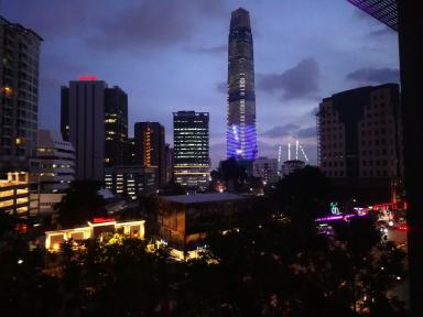 view