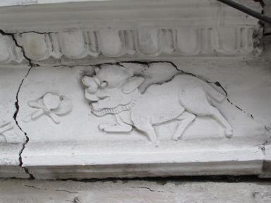 lion