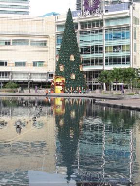 tree