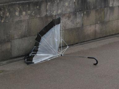 umbrella