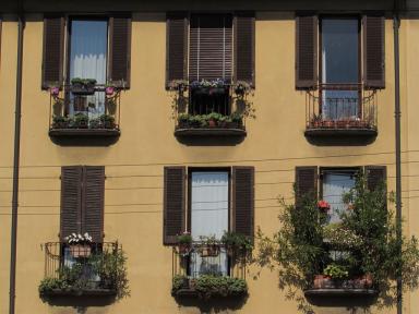 windows