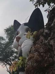 136557