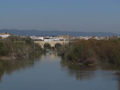 bridge