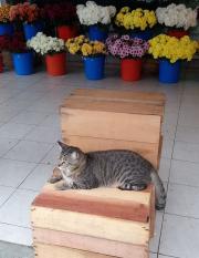 141657