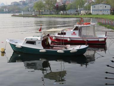 boats