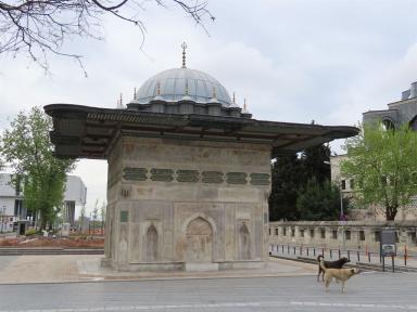 fountain