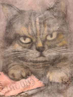 paintedcat