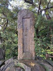 147005